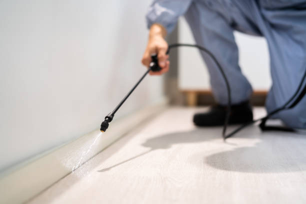 Certified termite inspector examining foundation in Center